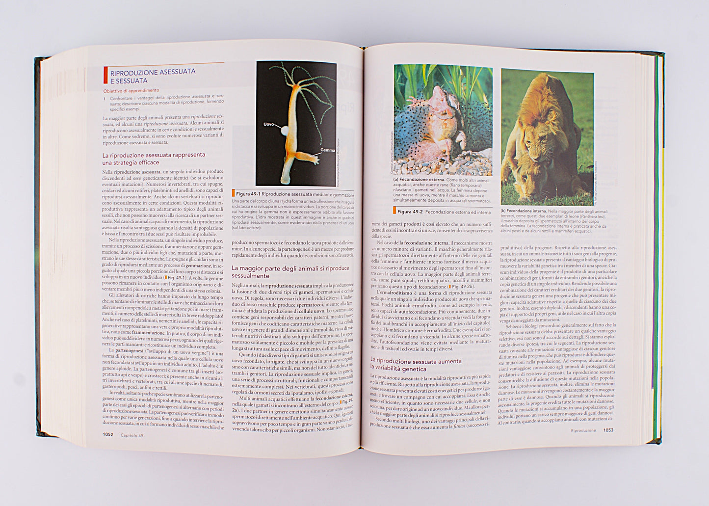 Solomon Berg Martin - Biologia - Edises 2009