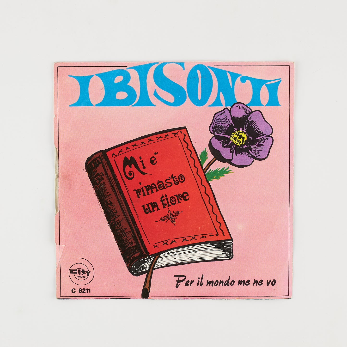 I Bisonti - Mi è rimasto un fiore / Per il mondo me ne vo - 7' City Record 1969 - Beat Ita