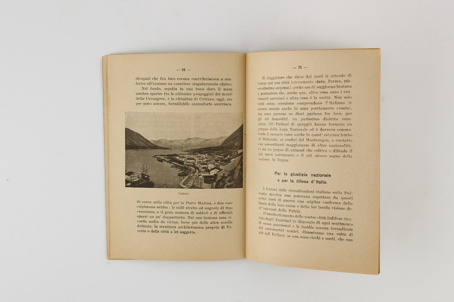 Amedeo Orefici - La Dalmazia - Bibliotechina illustrata Bemporad - Primi 900