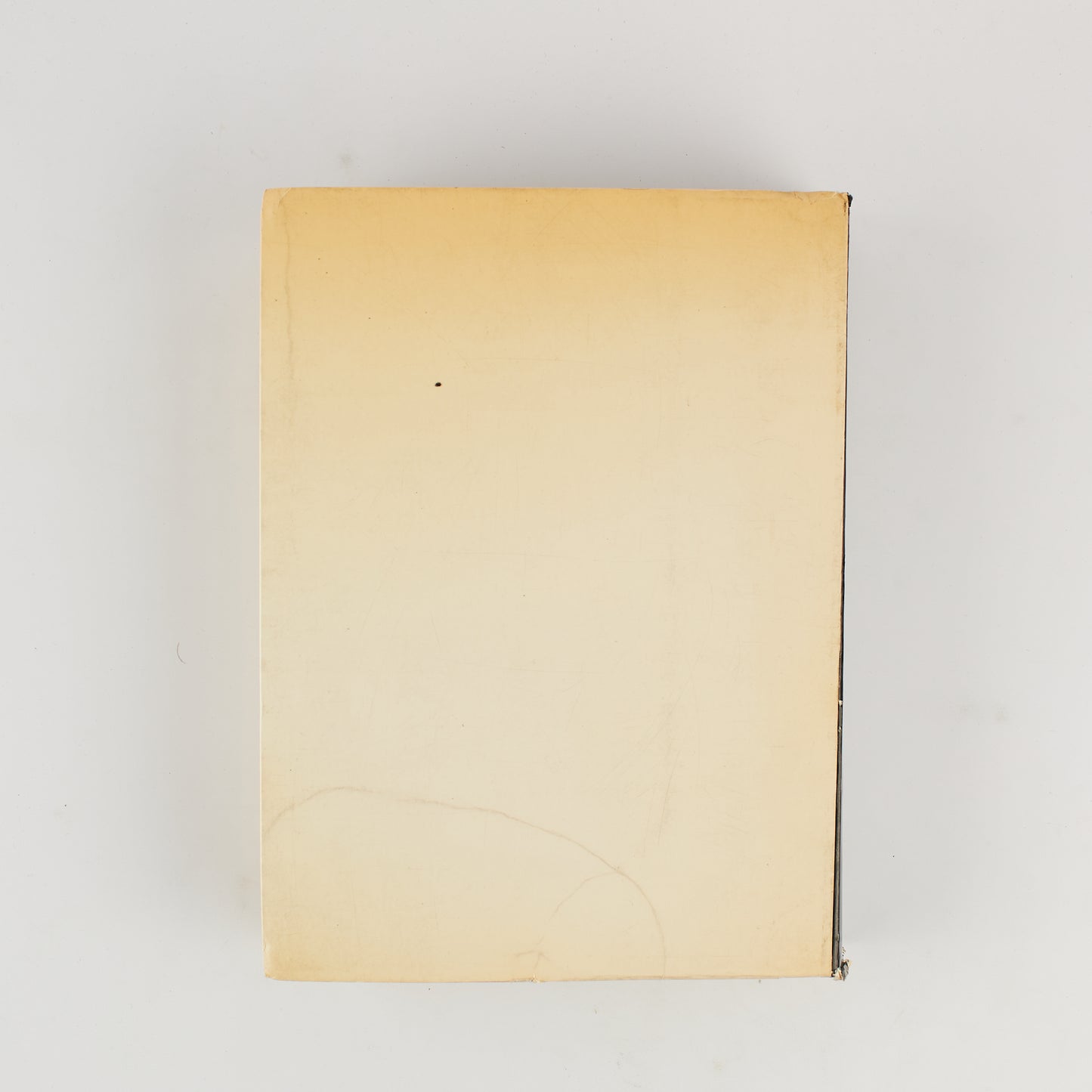 Catalogo Monteverdi 1973 - Annuario artisti visivi italiani - 1973