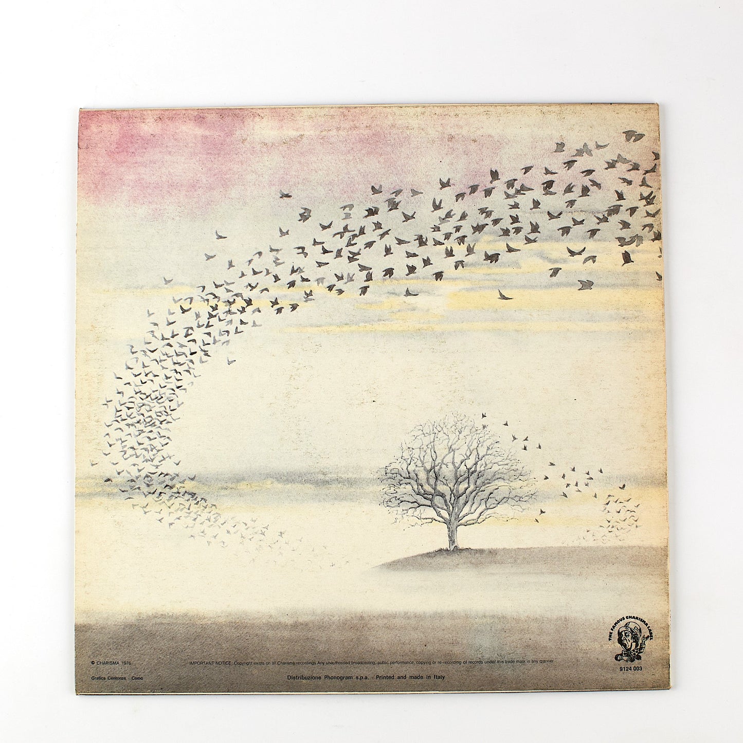Genesis - Wind & wuthering - Vinile 12' Charisma 1976 - Progressive