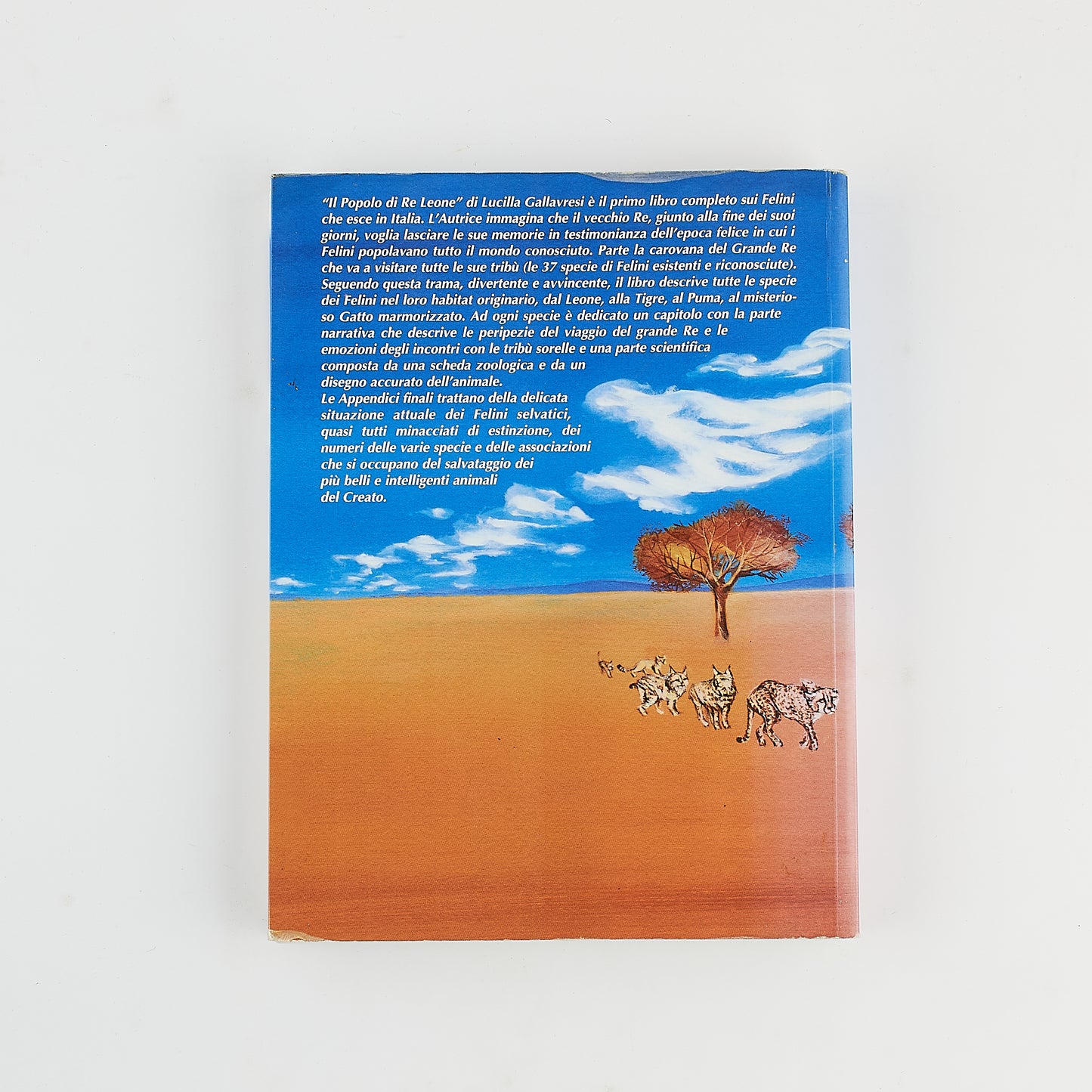 Lucia Gallavresi - Il popolo di Re Leone - Tutti i felini del mondo- Prima Ed. WWF 2007 - Illustrato