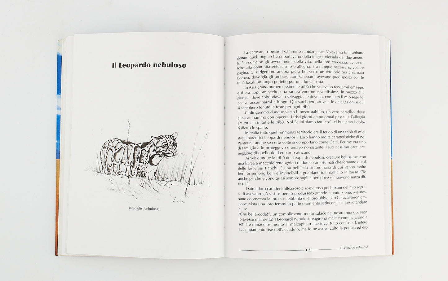 Lucia Gallavresi - Il popolo di Re Leone - Tutti i felini del mondo- Prima Ed. WWF 2007 - Illustrato