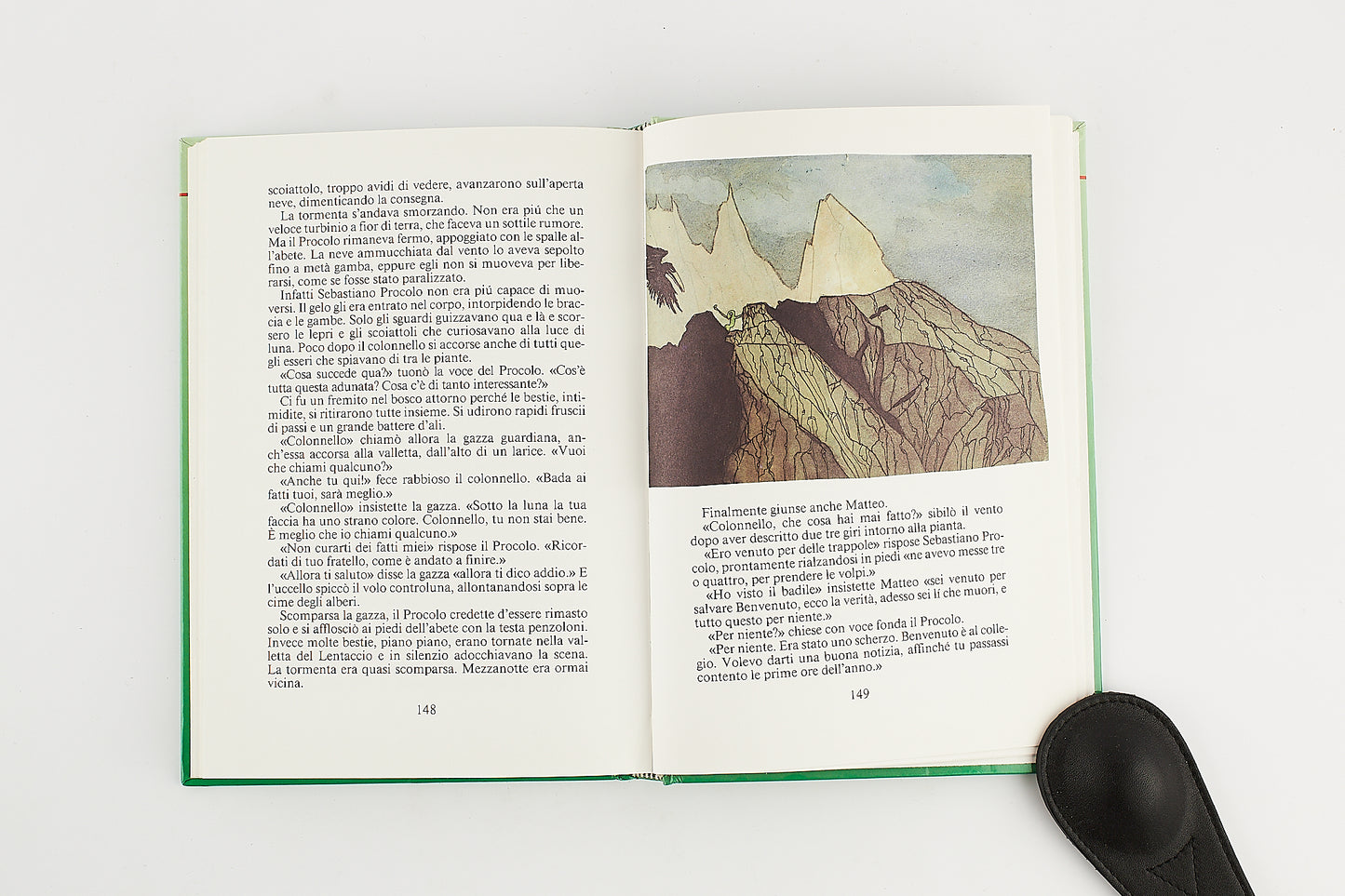 Dino Buzzati - Il segreto del bosco vecchio - Prima Ed. Mondadori 1992 - ILLUSTRATO