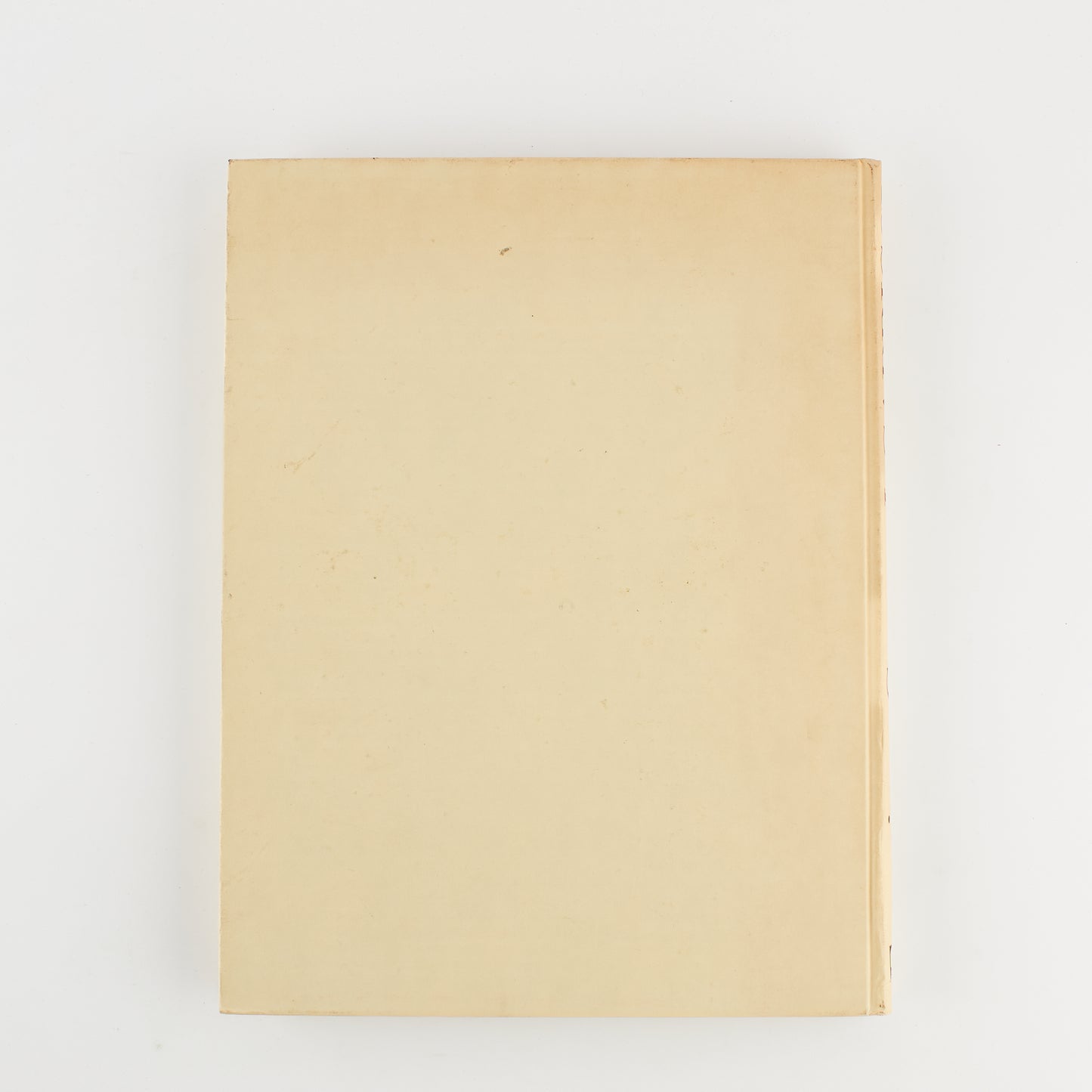 Amerigo Terenzi - Francisco Goya - I CAPRICCI - Prima Ed. Vie Nuove 1969 - 80 TAVOLE GOYA