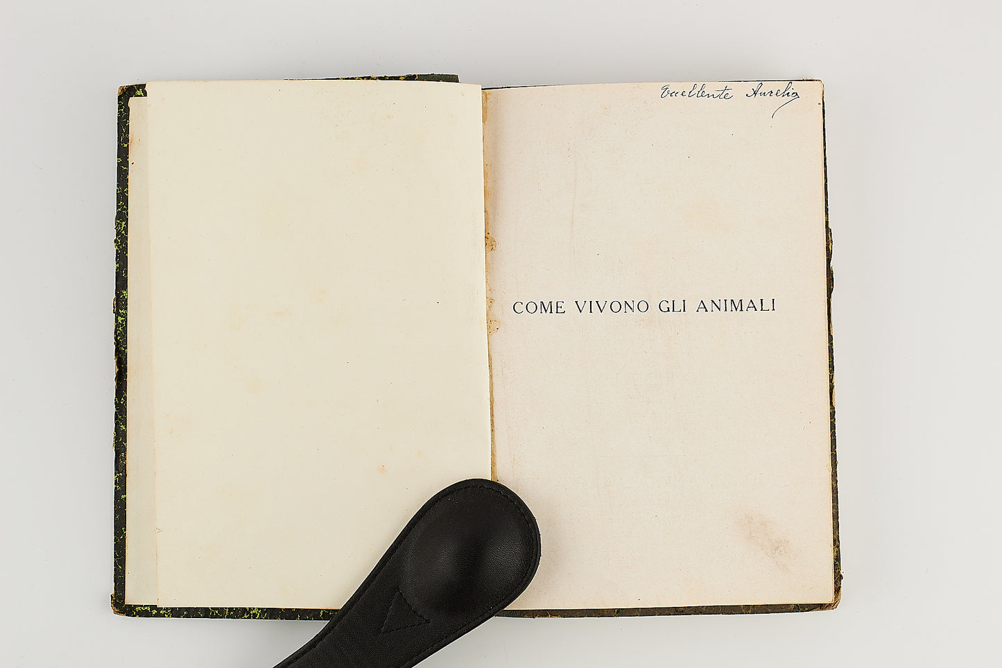 Lino Vaccari - Come vivono gli animali + Come vivono le piante - 2 Voll. Lattes & C. 1930