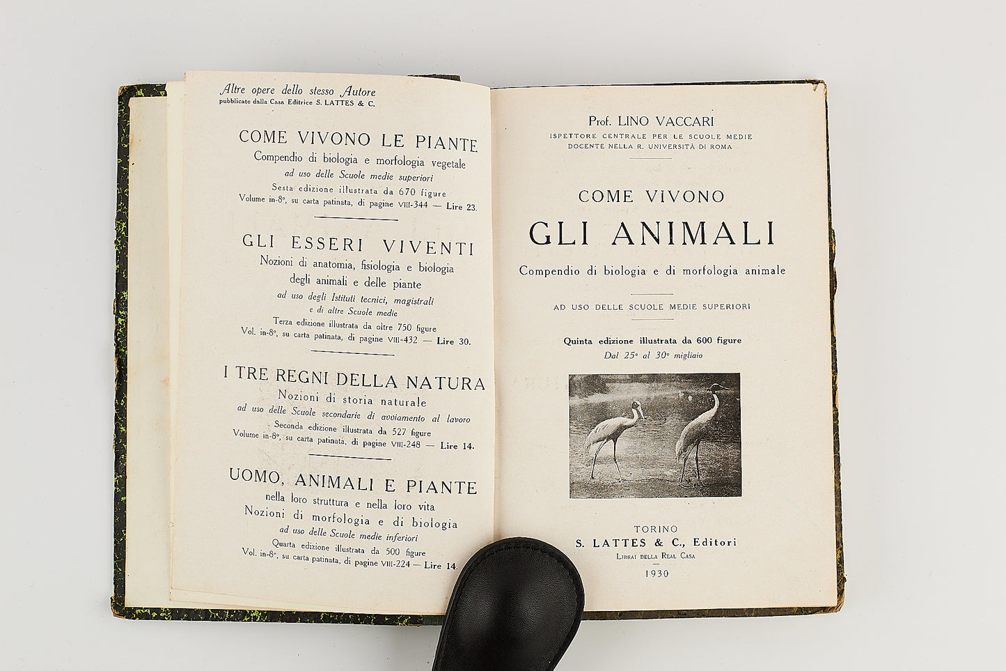 Lino Vaccari - Come vivono gli animali + Come vivono le piante - 2 Voll. Lattes & C. 1930