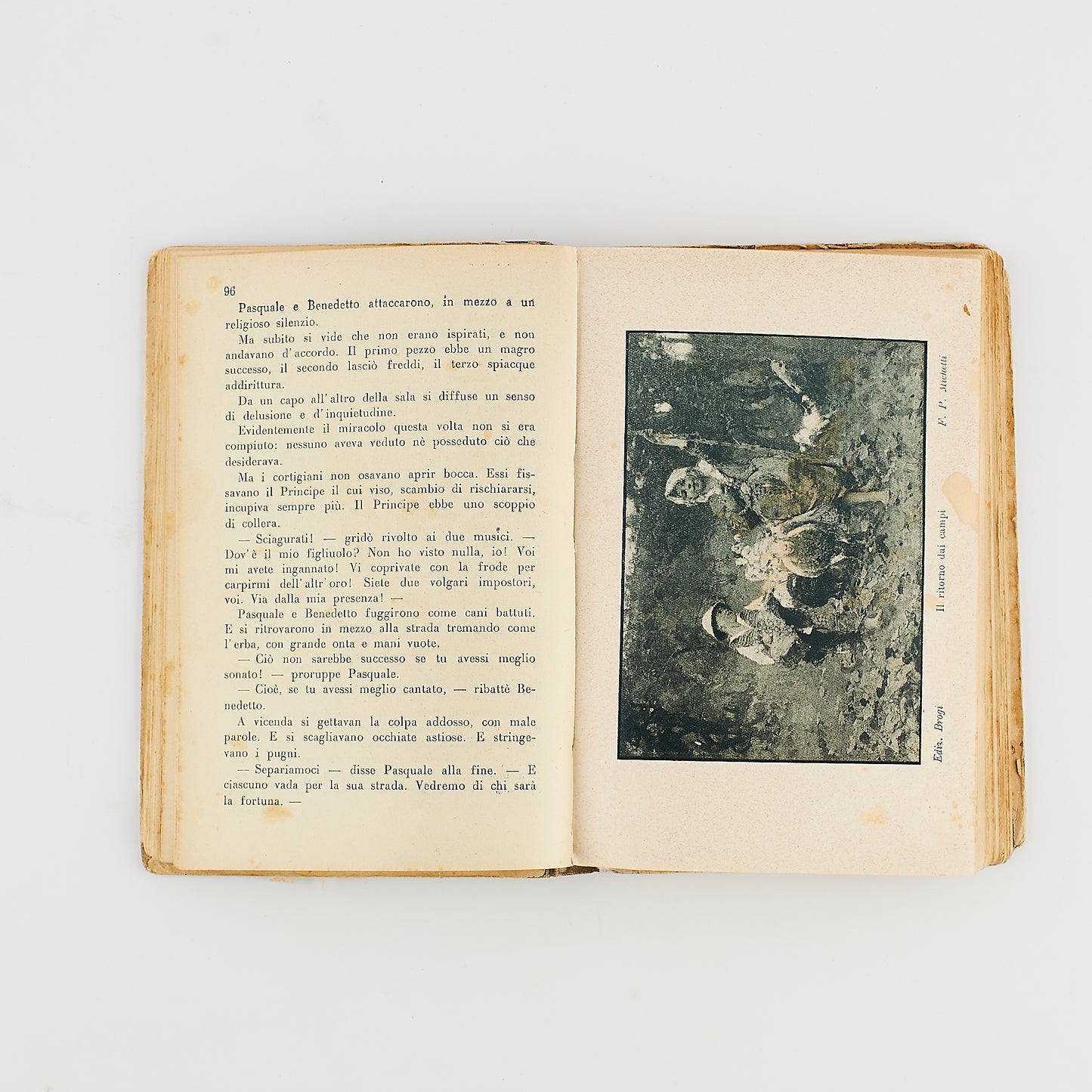 Giovanni Marcellini - Natura e Vita - Carabba Editore 1928