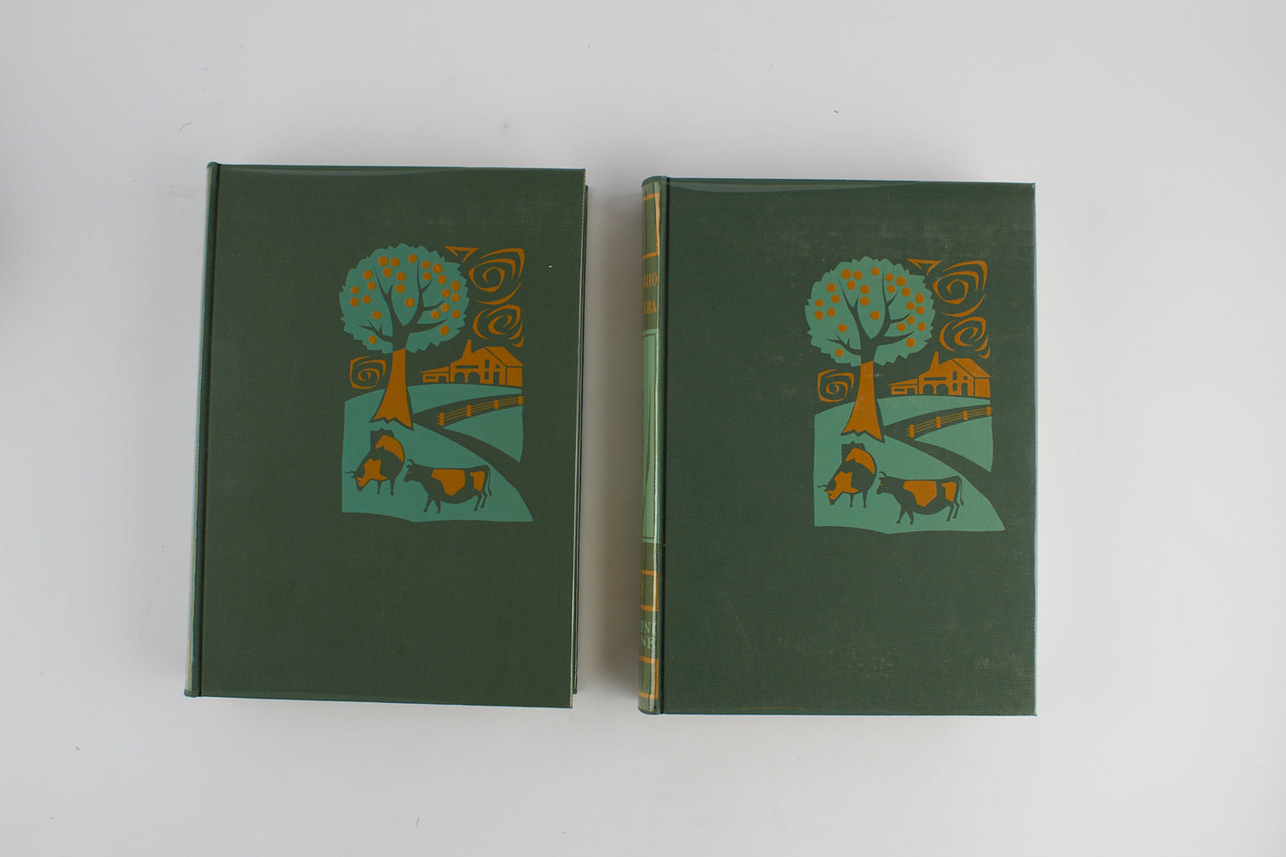 Rocco Melchionna - Dizionario di Agricoltura - Paoline - 1^ Ed 1965 - CON COFANETTO