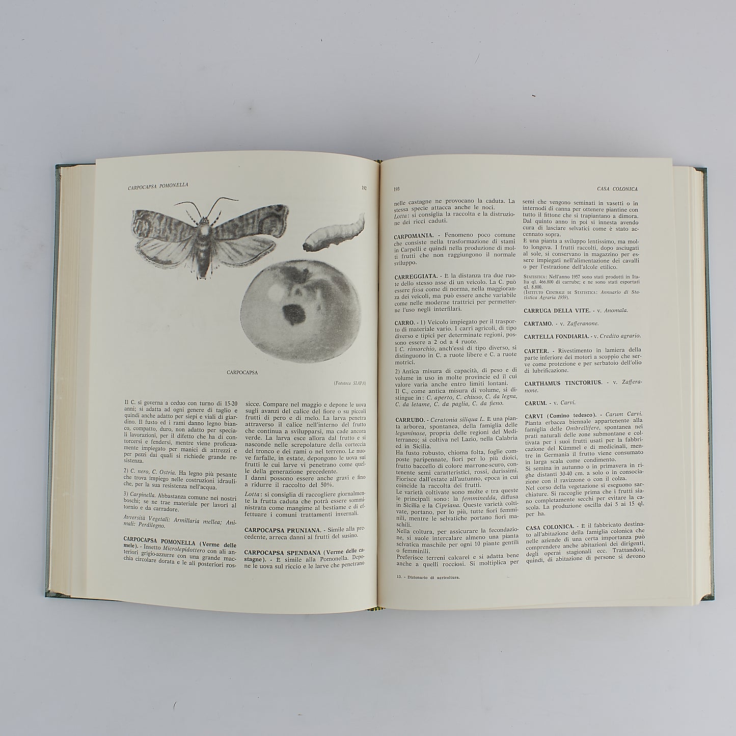 Rocco Melchionna - Dizionario di Agricoltura - Paoline - 1^ Ed 1965 - CON COFANETTO