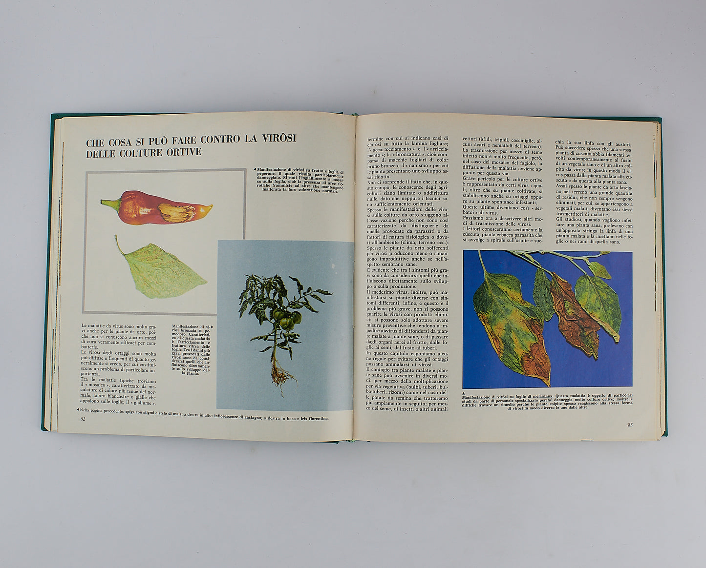 AA.VV. - Enciclopedia dell'agricoltura - Fabbri Editori - 1967 - 7 Tomi in 4 Volumi