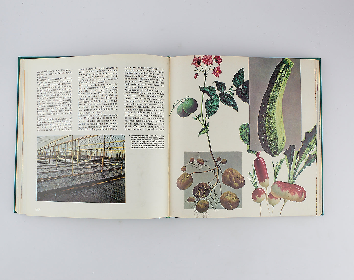 AA.VV. - Enciclopedia dell'agricoltura - Fabbri Editori - 1967 - 7 Tomi in 4 Volumi