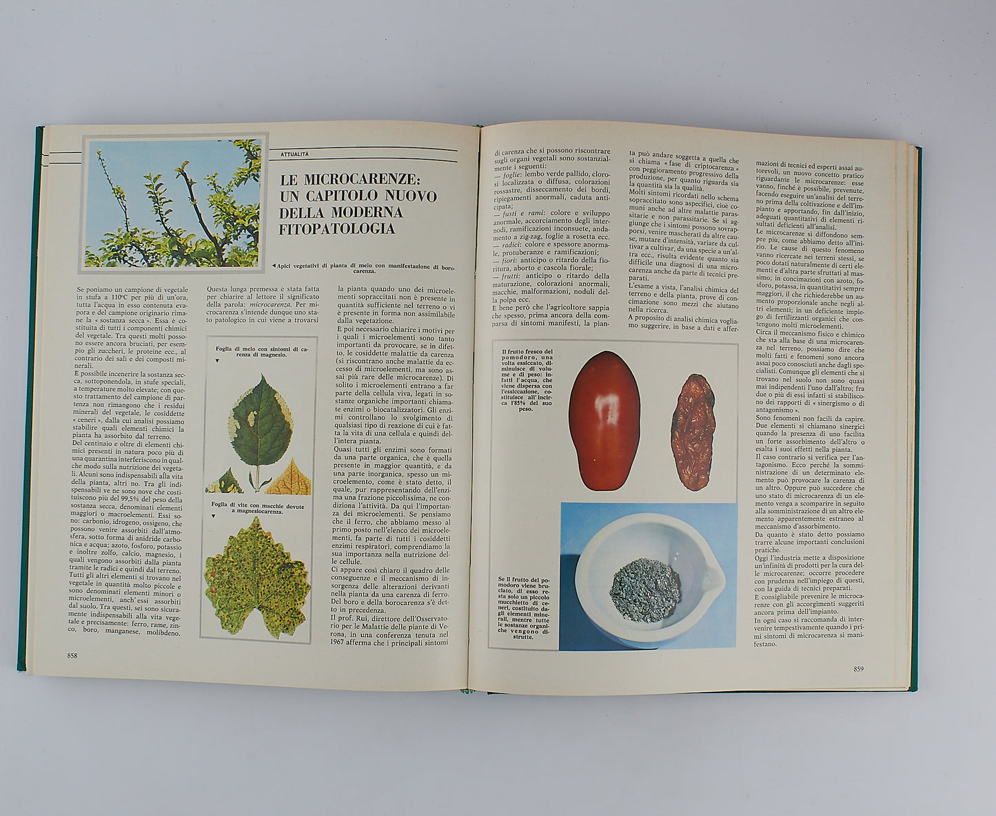 AA.VV. - Enciclopedia dell'agricoltura - Fabbri Editori - 1967 - 7 Tomi in 4 Volumi