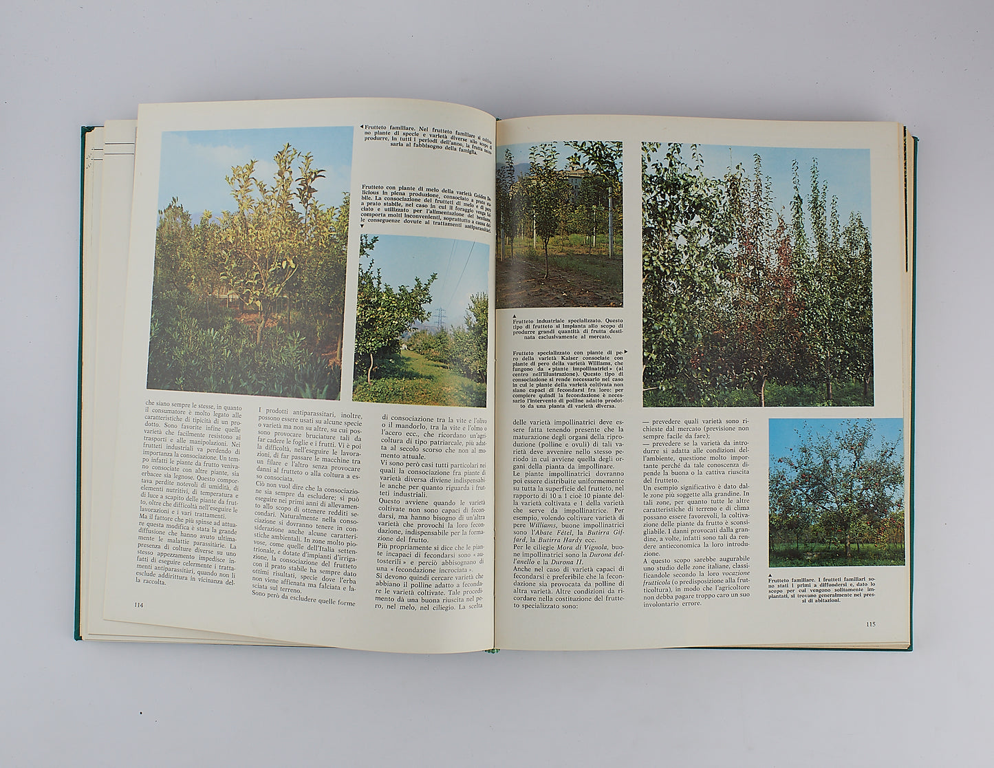 AA.VV. - Enciclopedia dell'agricoltura - Fabbri Editori - 1967 - 7 Tomi in 4 Volumi