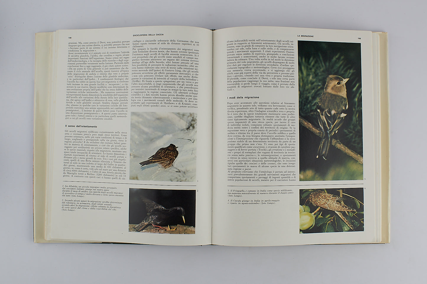 Piero Pieroni - Enciclopedia della caccia - Sadea Sansoni - 1967 - 2 VOLUMI + COFANETTO