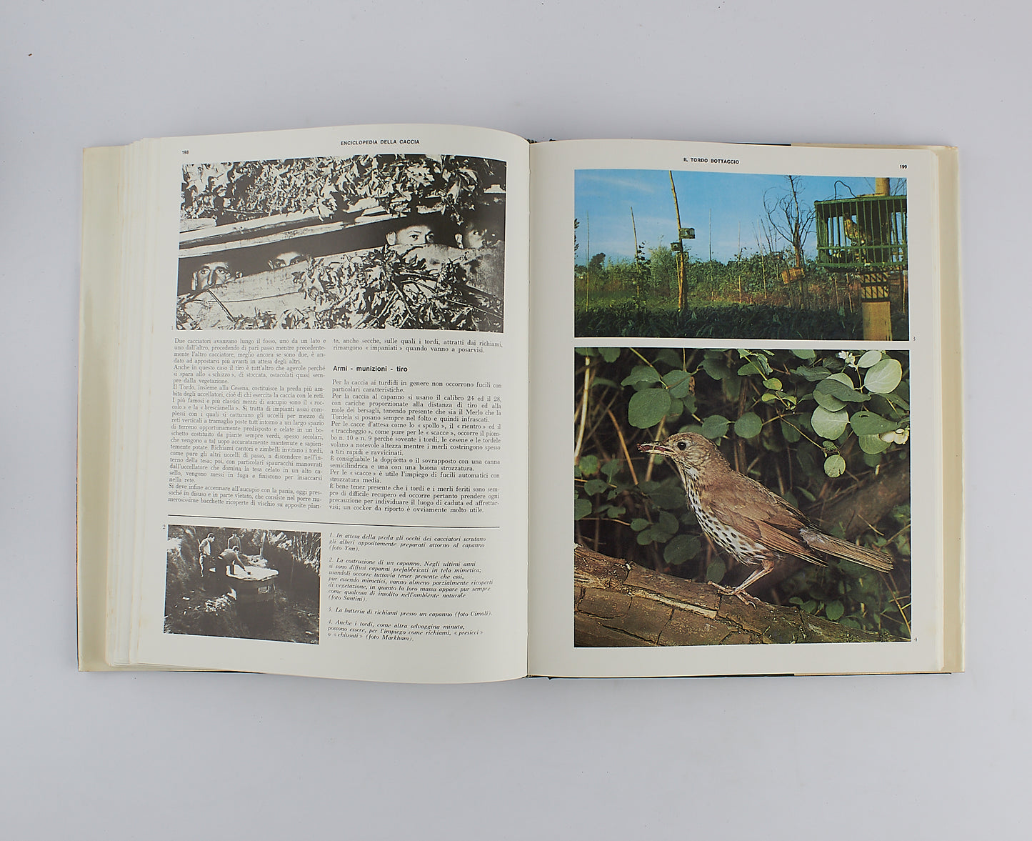 Piero Pieroni - Enciclopedia della caccia - Sadea Sansoni - 1967 - 2 VOLUMI + COFANETTO