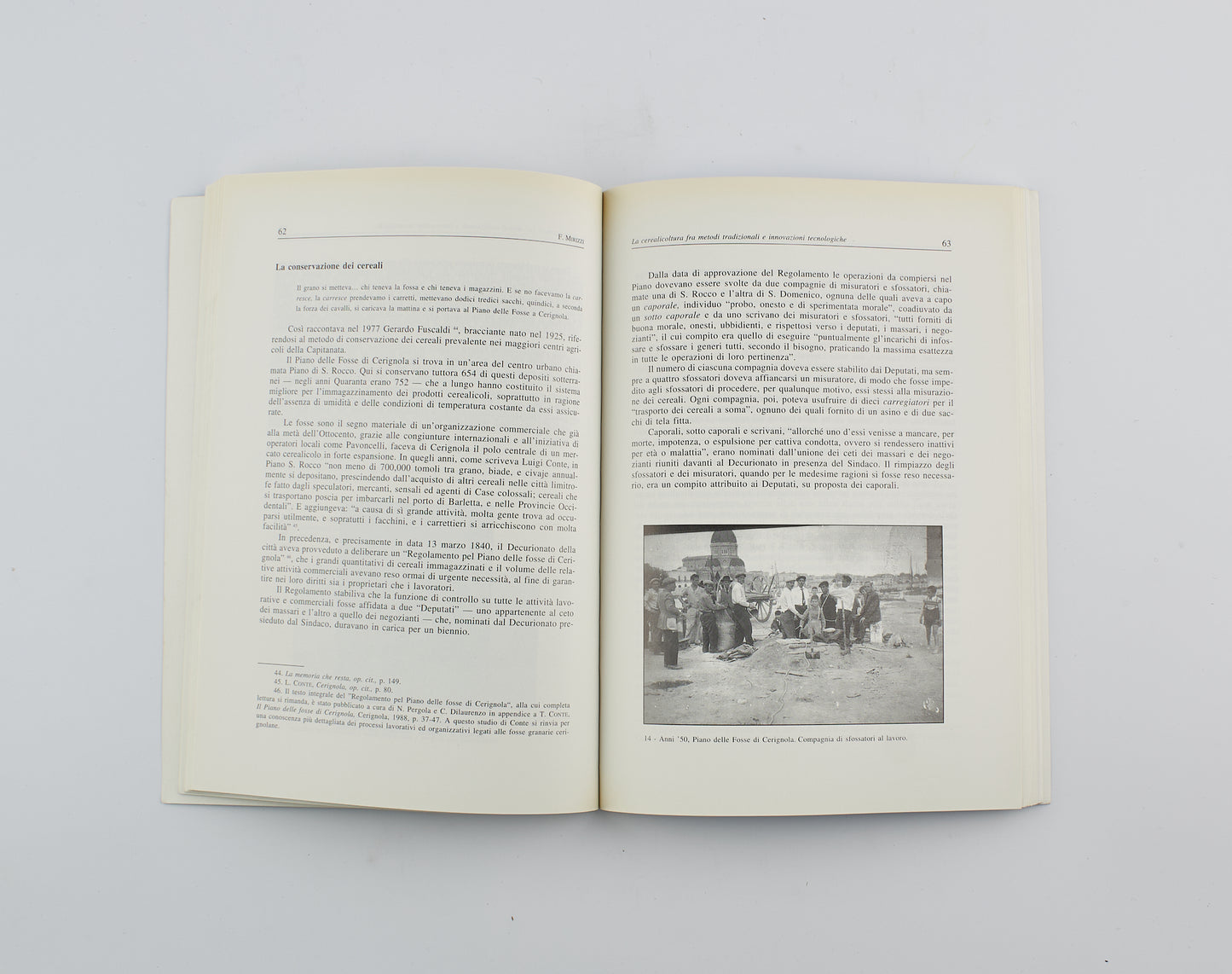 AA.VV. - Processi lavorativi e vita sociale nel Basso Tavoliere - Ed. Leone Grafiche Foggia 1993