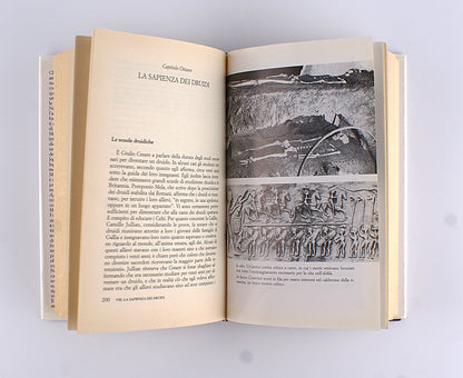 Berresford Ellis Peter - Il segreto dei druidi - 1^ ed. Piemme 1997