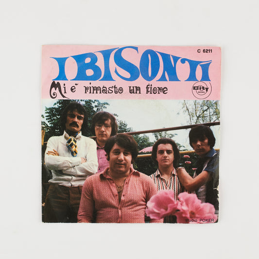 I Bisonti - Mi è rimasto un fiore / Per il mondo me ne vo - 7' City Record 1969 - Beat Ita
