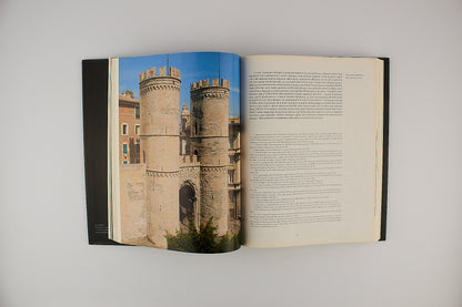 Miti di città - Catalogo d'arte Monte dei Paschi - Ed. Salvietti & Baruffi 2010