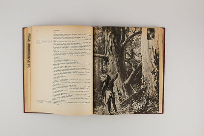 Emilio Salgari - La scotennatrice - 1^ Ed. Mondadori 1972 - Illustrato