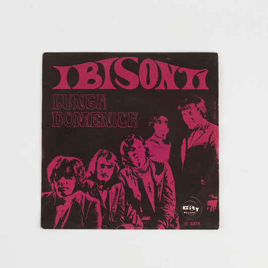 I Bisonti - Lunga Domenica - 7' City Record 1969  - 45 giri - Beat Ita