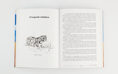 Lucia Gallavresi - Il popolo di Re Leone - Tutti i felini del mondo- Prima Ed. WWF 2007 - Illustrato