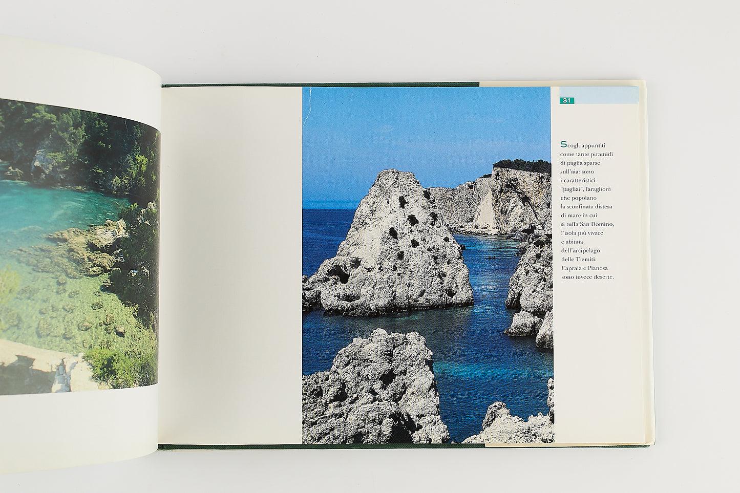 Gargano - La Cattedrale del Creato - Prima Ed. G. Mondadori 1998 - Fotografie Gargano