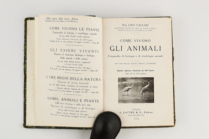 Lino Vaccari - Come vivono gli animali + Come vivono le piante - 2 Voll. Lattes & C. 1930