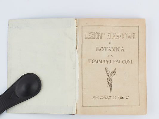 Tommaso Falconi - Lezioni elementari di botanica - Scienze naturali 1876