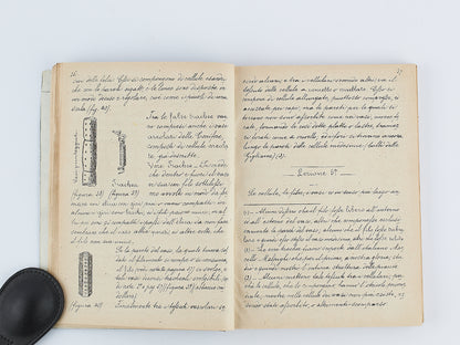 Tommaso Falconi - Lezioni elementari di botanica - Scienze naturali 1876