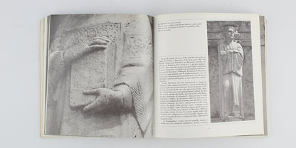 Francesco Cavallucci - La fontana maggiore di Perugia - Edizioni quattroemme 1994