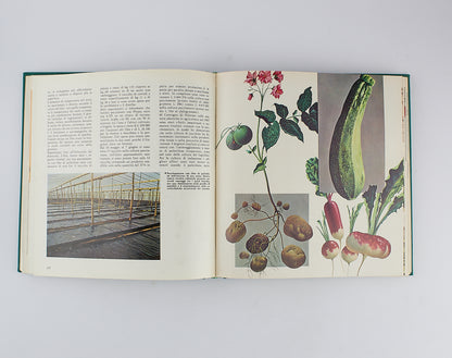 AA.VV. - Enciclopedia dell'agricoltura - Fabbri Editori - 1967 - 7 Tomi in 4 Volumi