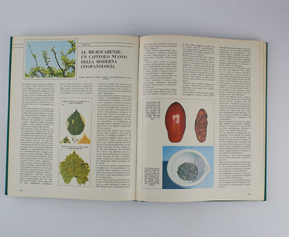 AA.VV. - Enciclopedia dell'agricoltura - Fabbri Editori - 1967 - 7 Tomi in 4 Volumi