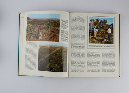 AA.VV. - Enciclopedia dell'agricoltura - Fabbri Editori - 1967 - 7 Tomi in 4 Volumi