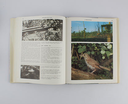 Piero Pieroni - Enciclopedia della caccia - Sadea Sansoni -  1967 - 2 VOLUMI + COFANETTO