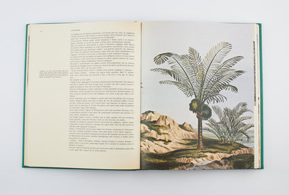 Emilio Salgari - Il secondo ciclo della jungla (ed. annotata) - Prima Ed. Arnoldo Mondadori Editore 1971