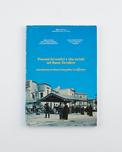 AA.VV. - Processi lavorativi e vita sociale nel Basso Tavoliere - Ed. Leone Grafiche Foggia 1993