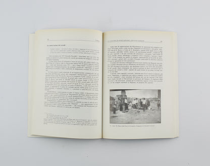 AA.VV. - Processi lavorativi e vita sociale nel Basso Tavoliere - Ed. Leone Grafiche Foggia 1993