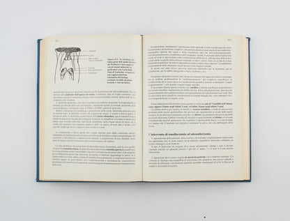 Massimo Generoso - Puericultura neonatologica pediatrica con assistenza - 1° Ed. S.E.E. Firenze 1994