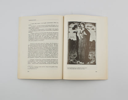 AA.VV. - la Capitanata - Ed. Leone Editrice 1983 - Luoghi e città