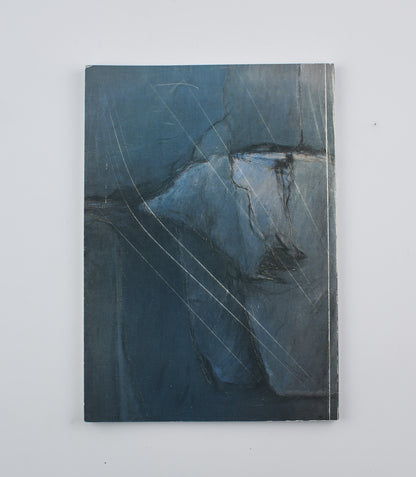 AA.VV. - Luigi Stradella, un desiderio una luce (autografato) - Ed. Contemporanea sas 2004 - Arte