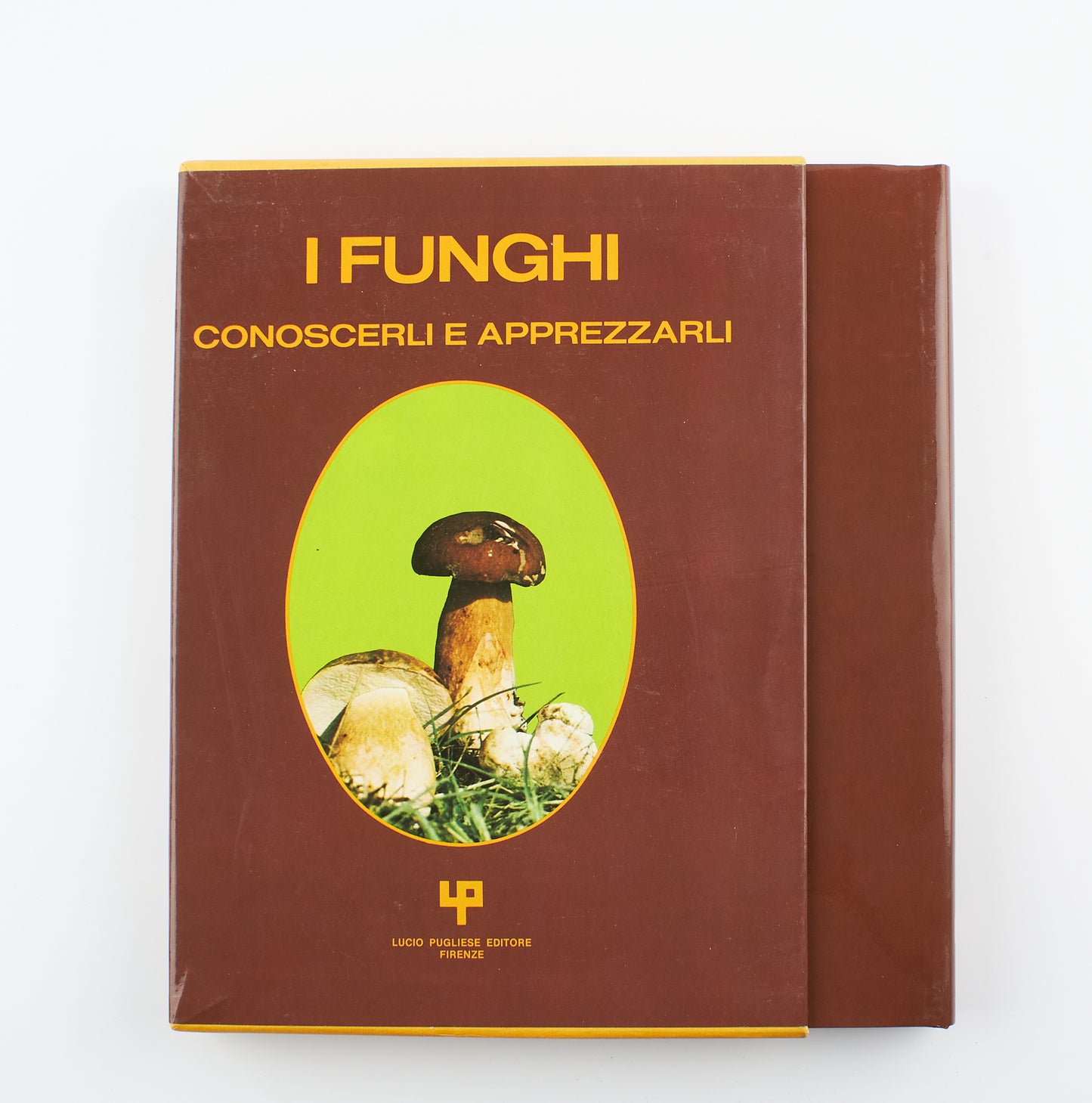 Giuseppe Perna - I funghi, conoscerli e apprezzarli - 1°Ed. Lucio Pugliese editore 1982