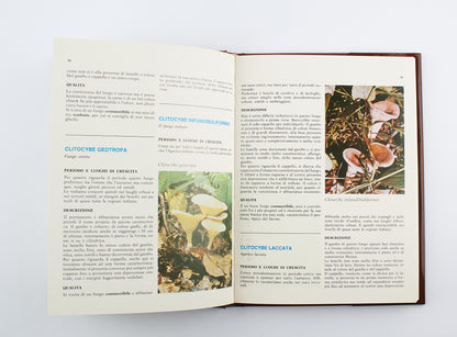Giuseppe Perna - I funghi, conoscerli e apprezzarli - 1°Ed. Lucio Pugliese editore 1982
