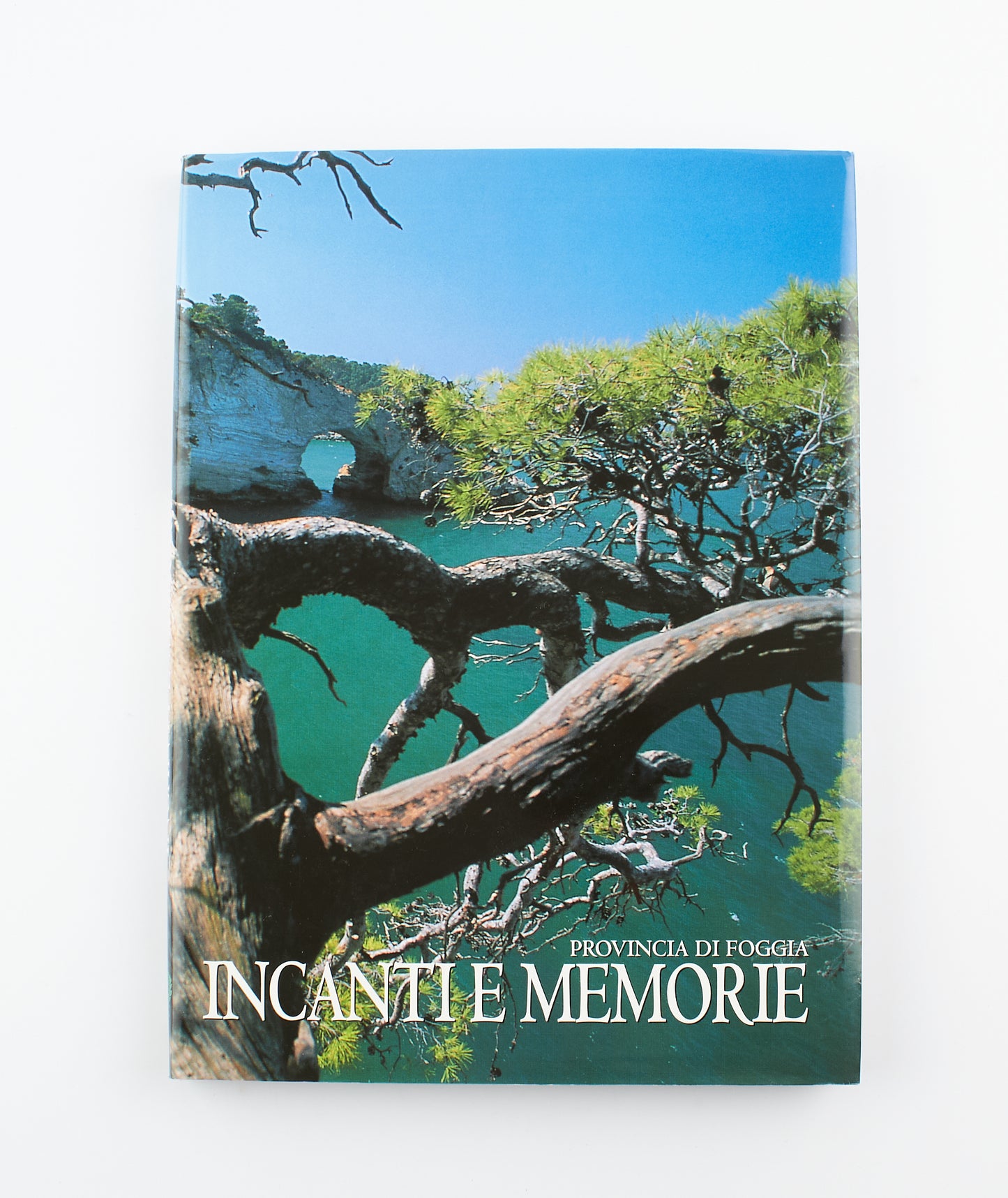 Giuseppe Cassieri - Incanti e Memorie, Provincia di Foggia  - Ed. Centrooffset 1998 - Luoghi e città