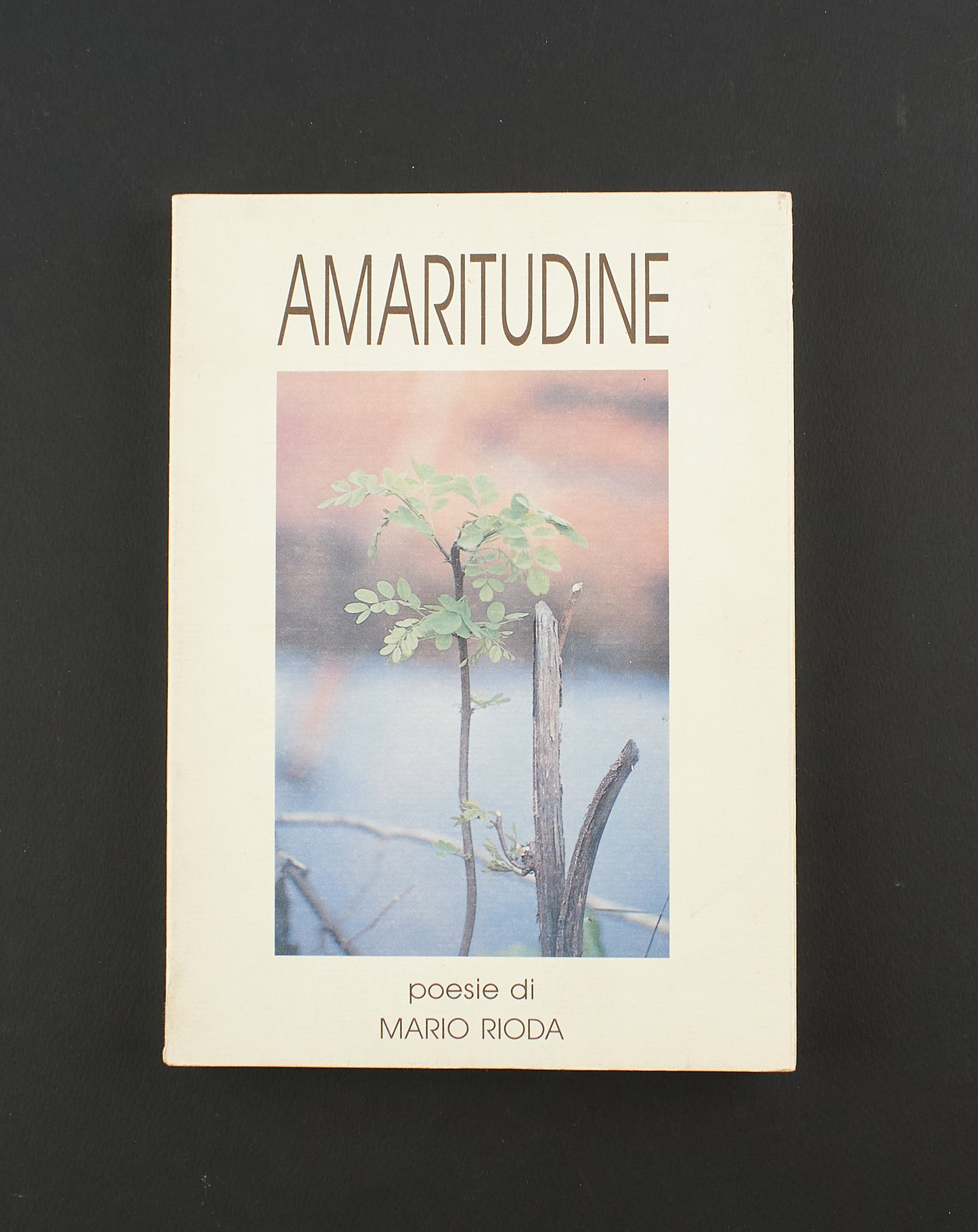 Mario Roda - Amaritudine - Ed. Grafiche Lambro - poesia