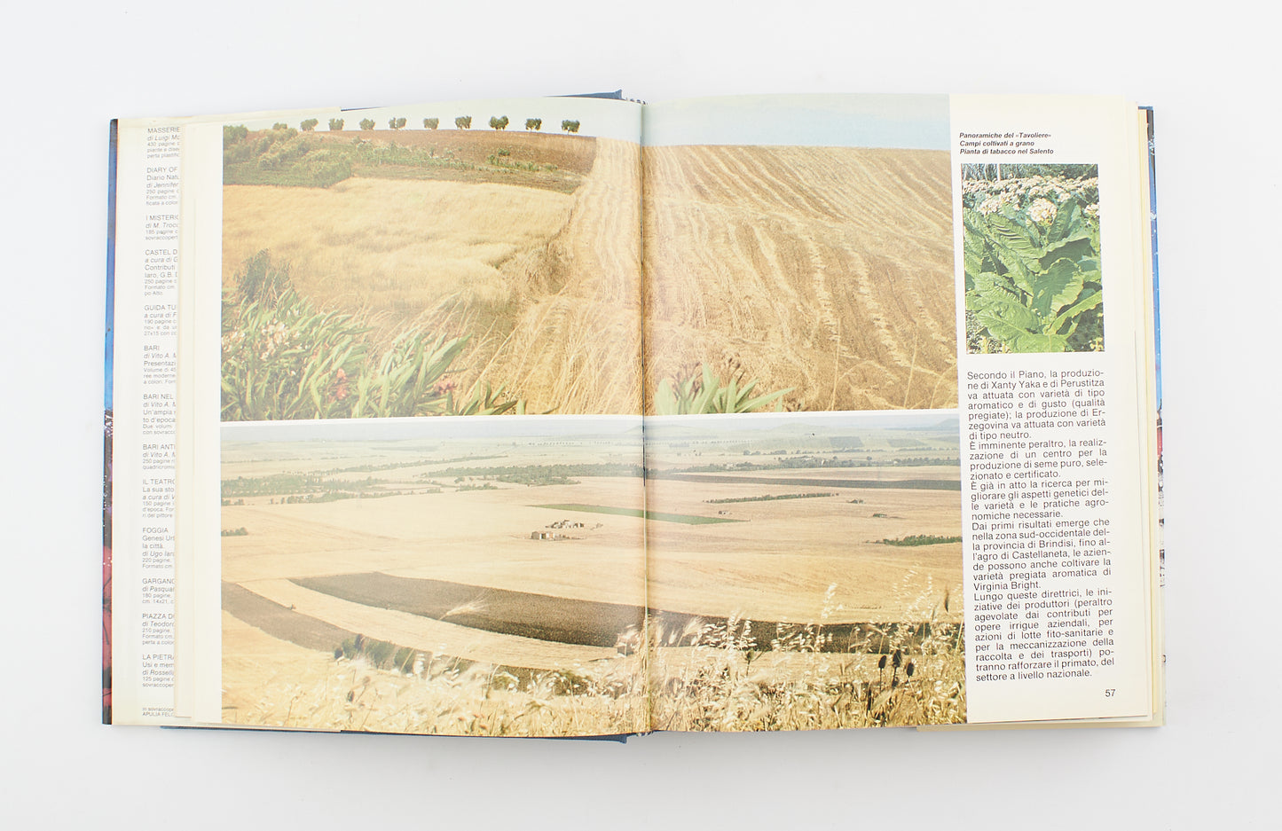 AA. VV. - Puglia dalla terra alla tavola - Ed. Mario Adda 1990 - luoghi e territori