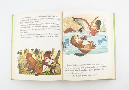 AA. VV. - Fiabe e storie del bosco incantato - 1^ Ed. GED 1992 - per ragazzi