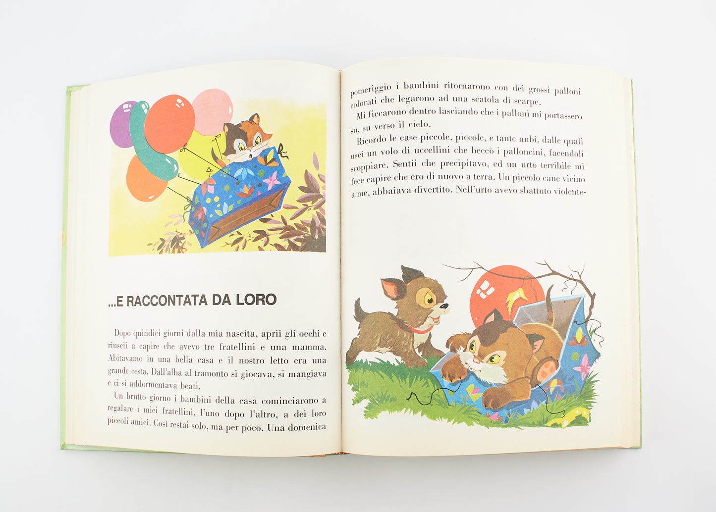 AA. VV. - Fiabe e storie del bosco incantato - 1^ Ed. GED 1992 - per ragazzi